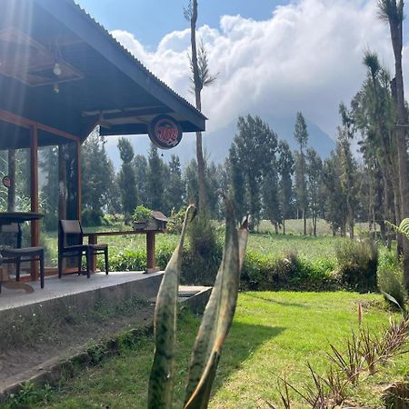 Gangga Guest House Bromo Ngadisari Dış mekan fotoğraf