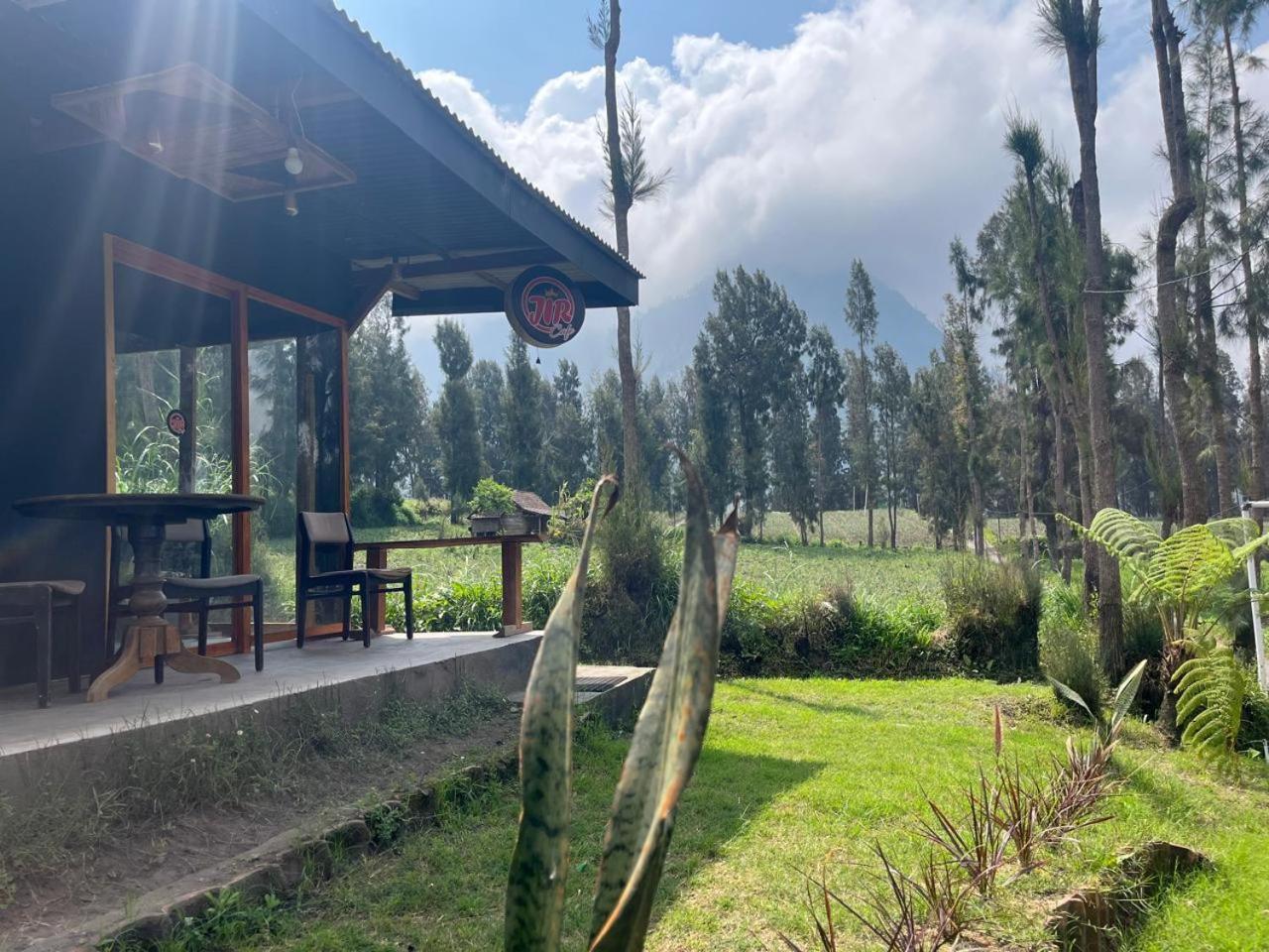 Gangga Guest House Bromo Ngadisari Dış mekan fotoğraf
